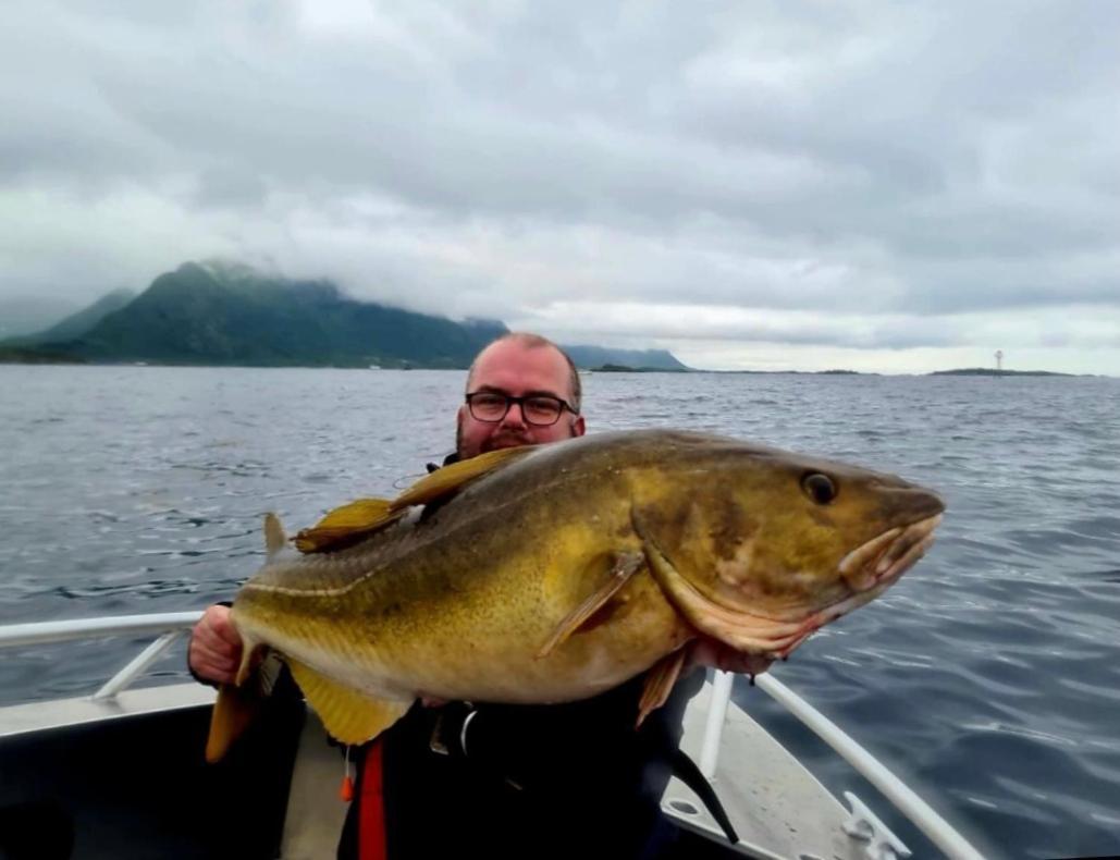Lofoten And Vesteralen Kveldro Myrland Ngoại thất bức ảnh