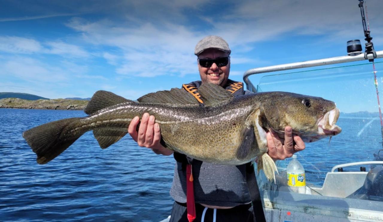Lofoten And Vesteralen Kveldro Myrland Ngoại thất bức ảnh