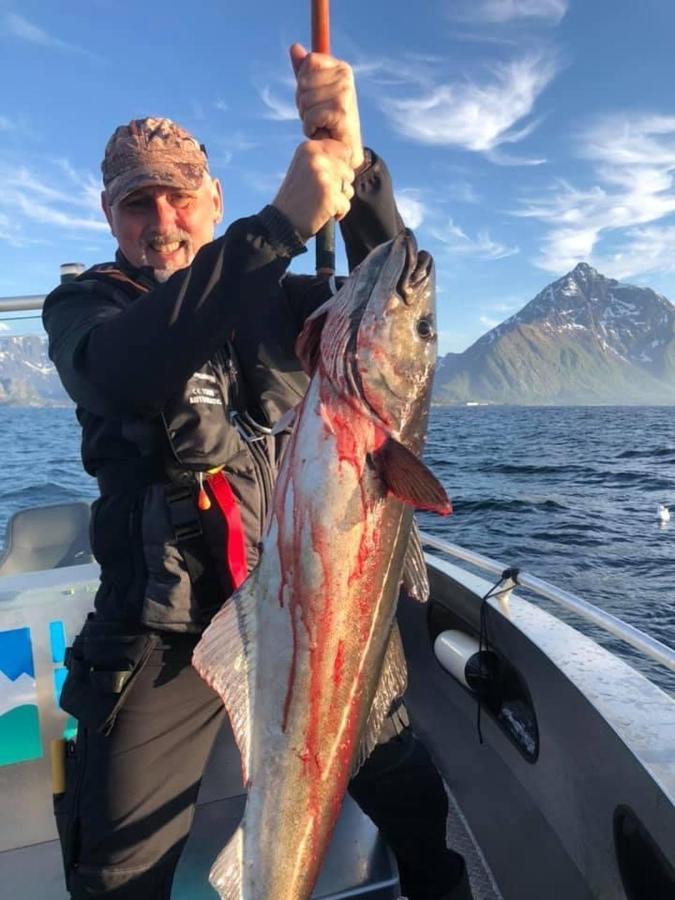 Lofoten And Vesteralen Kveldro Myrland Ngoại thất bức ảnh