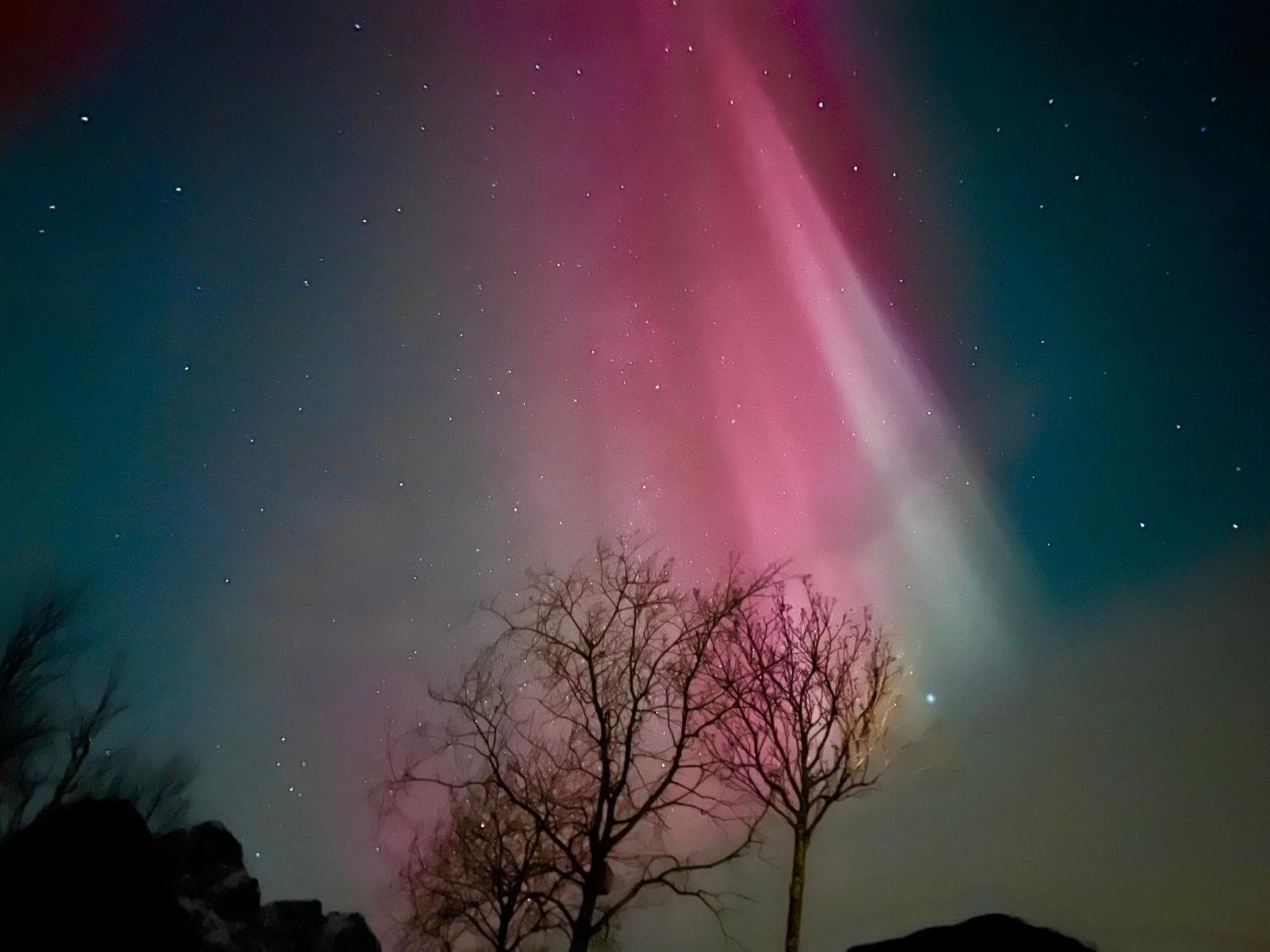 Lofoten And Vesteralen Kveldro Myrland Ngoại thất bức ảnh