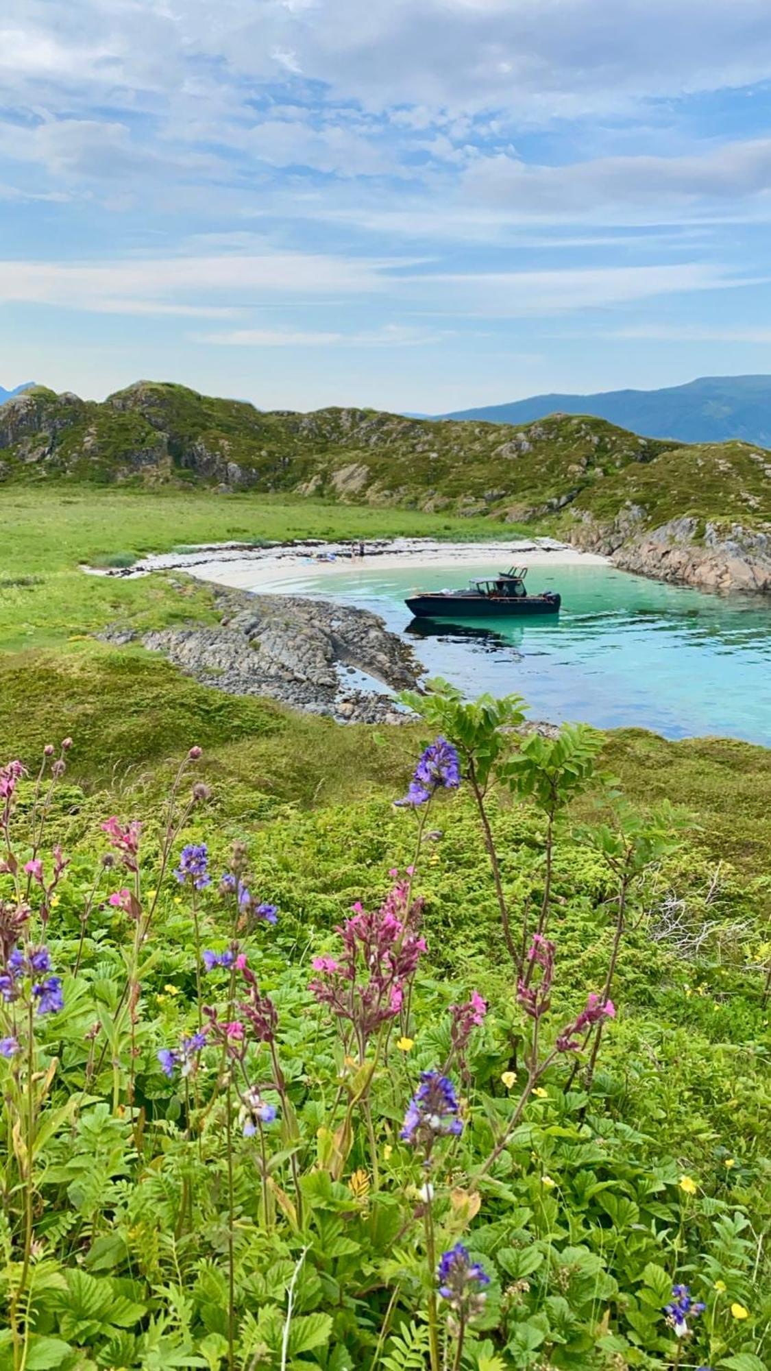 Lofoten And Vesteralen Kveldro Myrland Ngoại thất bức ảnh