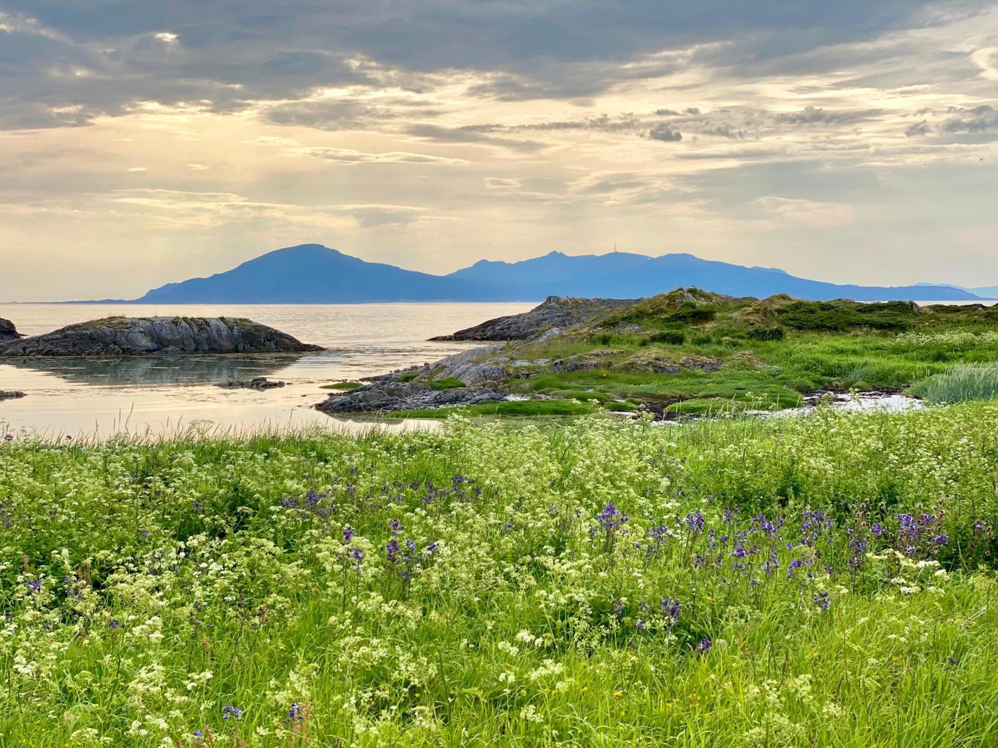 Lofoten And Vesteralen Kveldro Myrland Ngoại thất bức ảnh
